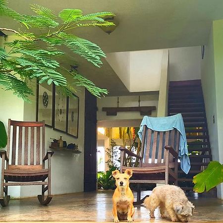 El Hotelito At The Rainforest Experience Farm Fajardo Esterno foto