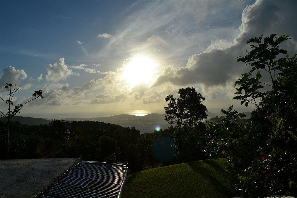 El Hotelito At The Rainforest Experience Farm Fajardo Esterno foto