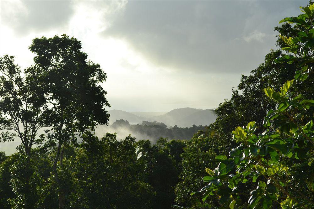 El Hotelito At The Rainforest Experience Farm Fajardo Esterno foto