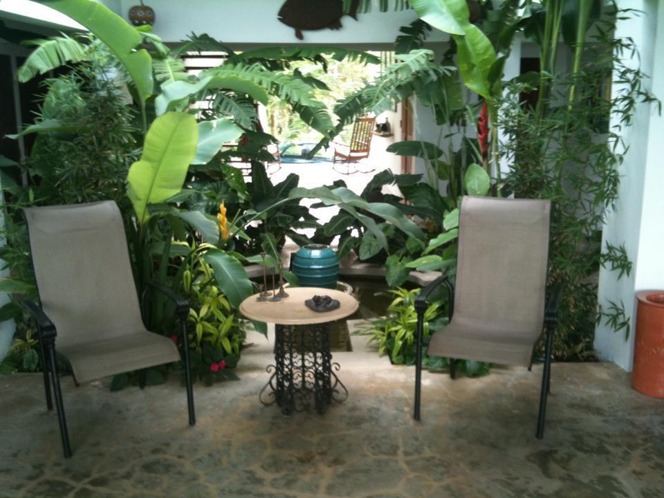 El Hotelito At The Rainforest Experience Farm Fajardo Esterno foto
