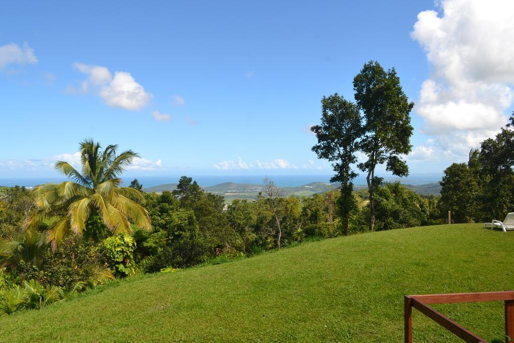 El Hotelito At The Rainforest Experience Farm Fajardo Esterno foto