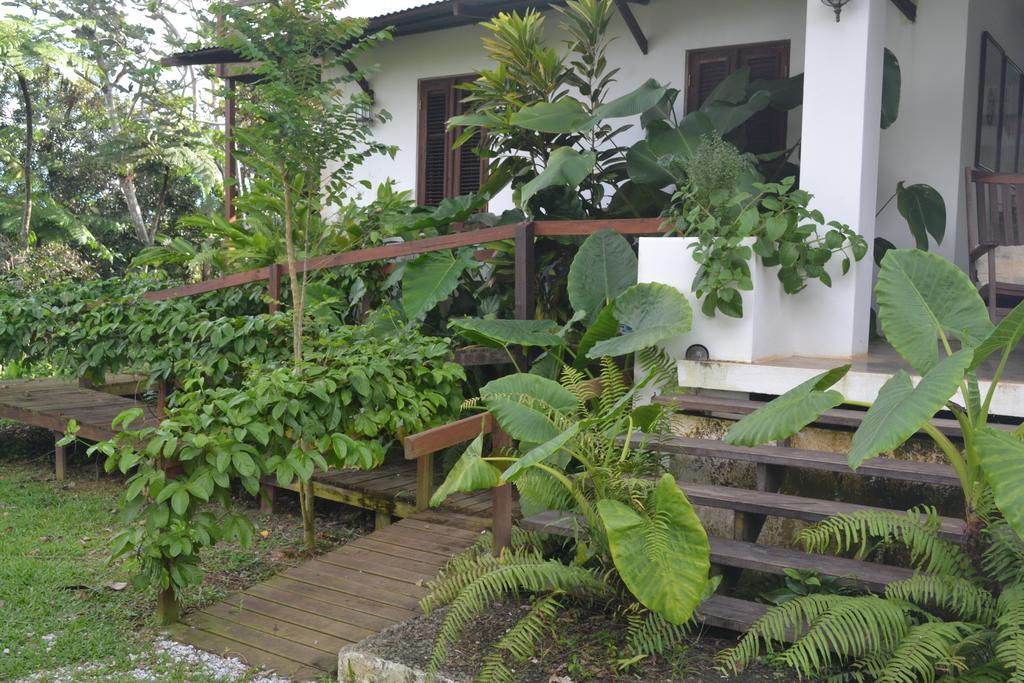 El Hotelito At The Rainforest Experience Farm Fajardo Esterno foto