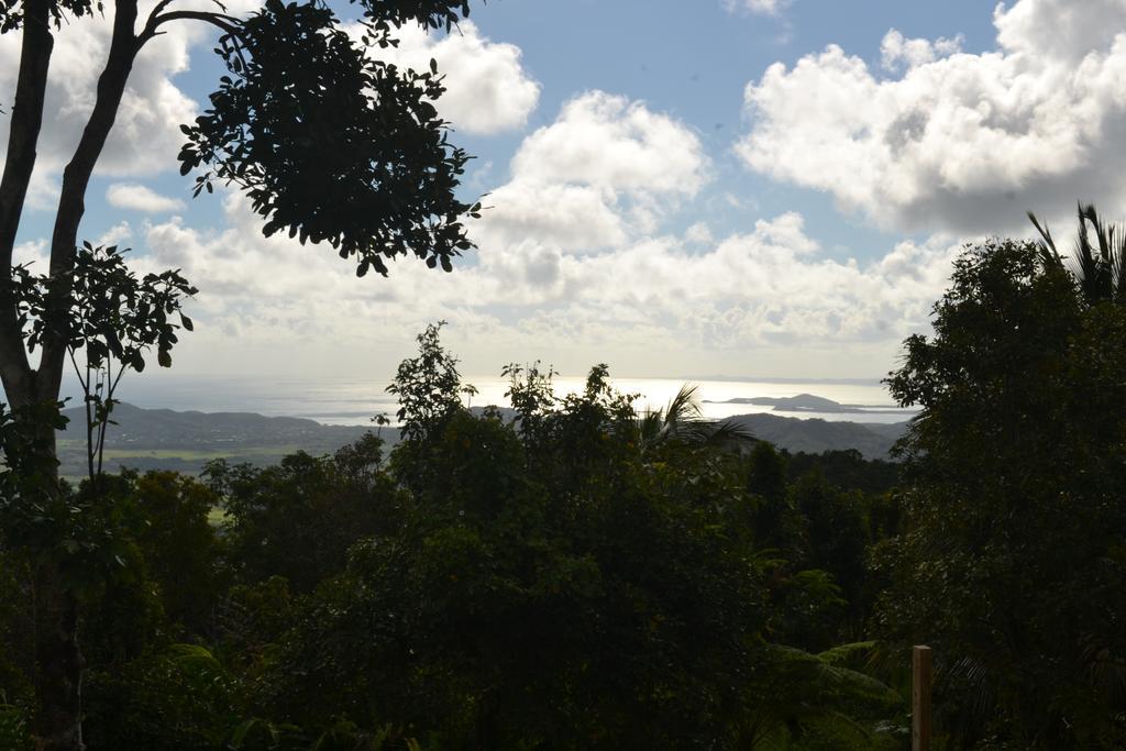 El Hotelito At The Rainforest Experience Farm Fajardo Esterno foto