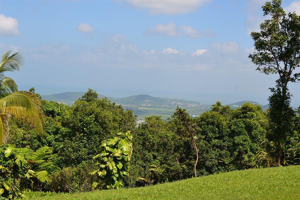 El Hotelito At The Rainforest Experience Farm Fajardo Esterno foto
