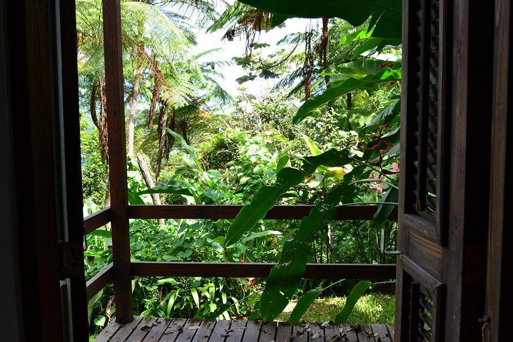 El Hotelito At The Rainforest Experience Farm Fajardo Esterno foto