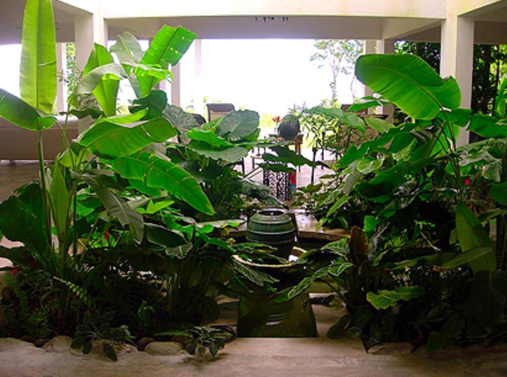 El Hotelito At The Rainforest Experience Farm Fajardo Esterno foto