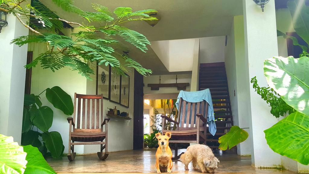 El Hotelito At The Rainforest Experience Farm Fajardo Esterno foto