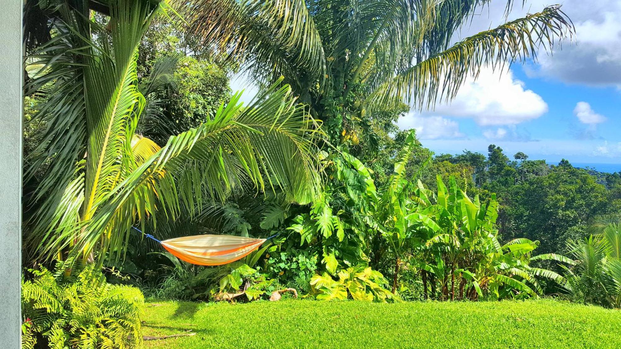El Hotelito At The Rainforest Experience Farm Fajardo Esterno foto